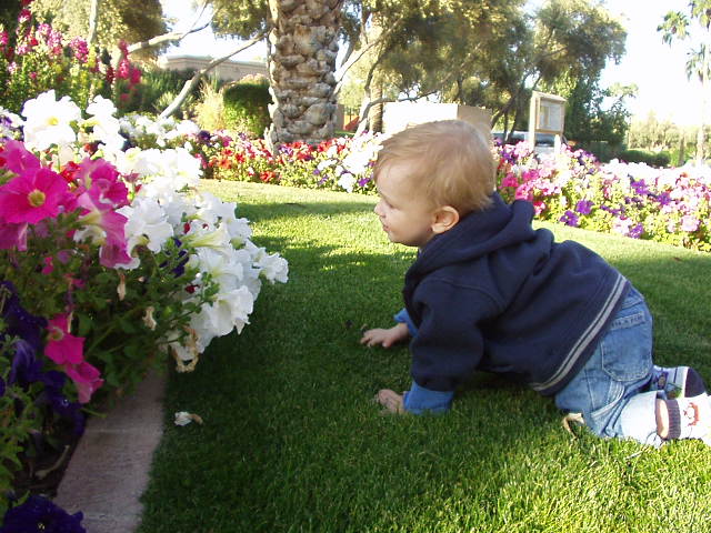 ed_az_flowers_07