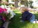 ed_az_flowers_07